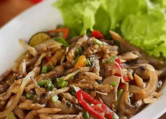 Lorjuk, Kerang Khas Madura yang Bernilai Tinggi dan Sarat Tradisi