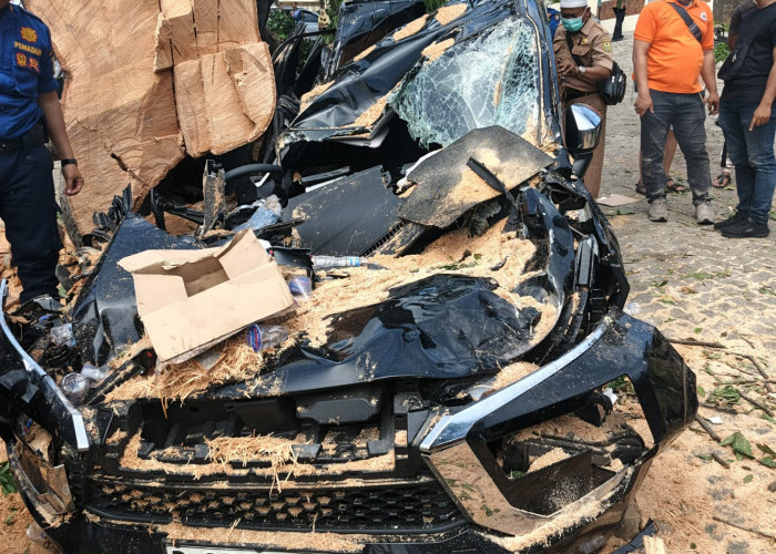 Tiga Jam Evakuasi Pengemudi Mobil Tertimpa Pohon di Hotel Holiday In Berhasil diselamatkan