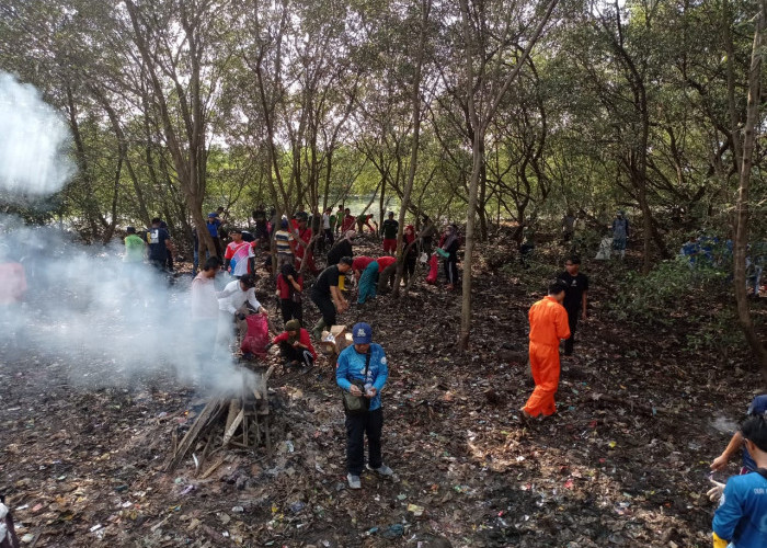 Sampah di Pulau Pasaran Dibakar, Ini Kata Kepala DLH Bandar Lampung