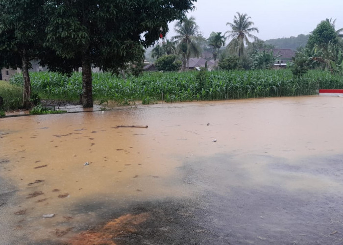 Sungai Way Rajabasa Butuh Normalisasi, Camat Ngaras Ingatkan Warga Tetap Waspada