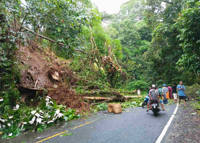 Jalan Liwa-Krui Rawan Bencana Alam, Pengendara Diminta Waspada Saat Melintas