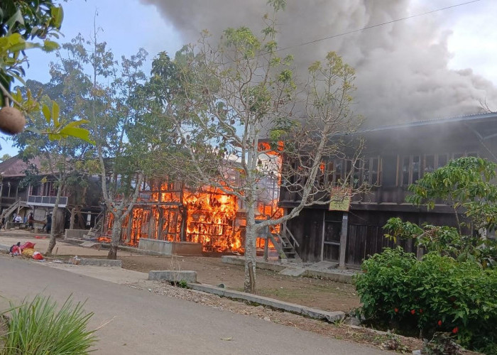 BREAKING NEWS! Kebakaran Hanguskan Rumah Warga di Pekon Kenali