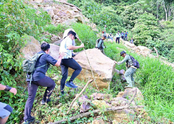 Bupati Egi Tinjau Longsor Gunung Rajabasa, Tanam Pohon untuk Cegah Bencana Susulan