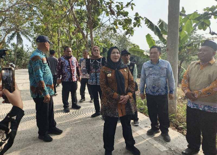 12 Ruas Jalan dan Trotoar di Bandar Lampung Diperbaiki, Ini Daftar Lokasinya