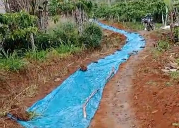 Gotong Royong Warga Rigis Bangun Jalan Produksi, Dorong Akses Perkebunan Lebih Lancar