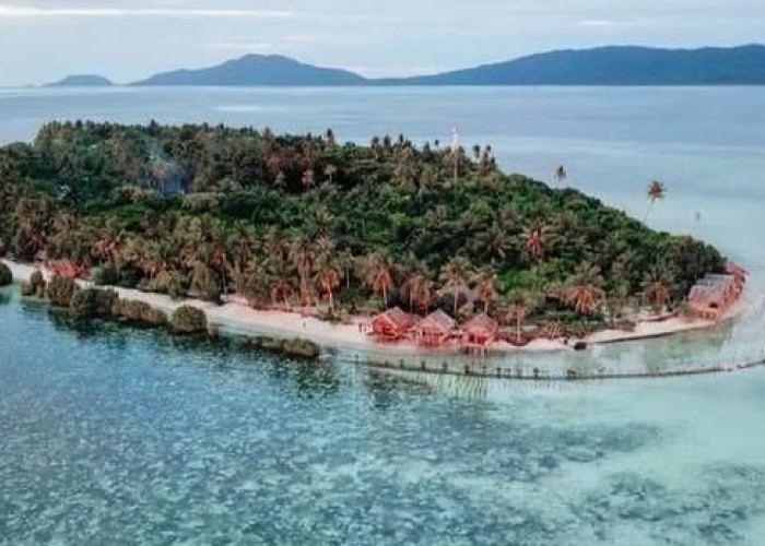 Pesona Desa Arborek di Raja Ampat, Surga Tropis dengan Keindahan Alam dan Budaya Autentik