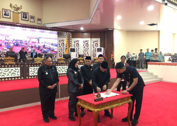 DPRD Bandar Lampung Bentuk Dua Pansus untuk Awasi Tindak Lanjut LHP BPK RI