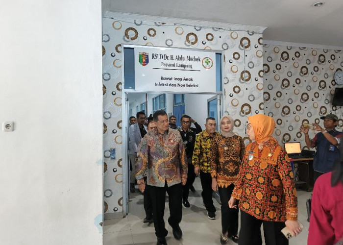 Wamen PANRB Apresiasi Kinerja RSUD Dr. H. Abdul Moeloek dalam Pelayanan Publik