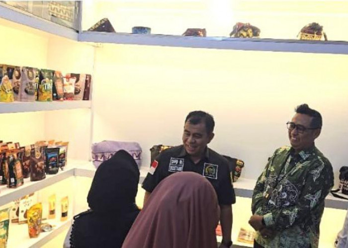 DPD RI Tinjau Rumah BUMN, PLN UID Lampung Perkuat Pembinaan UMKM Naik Kelas