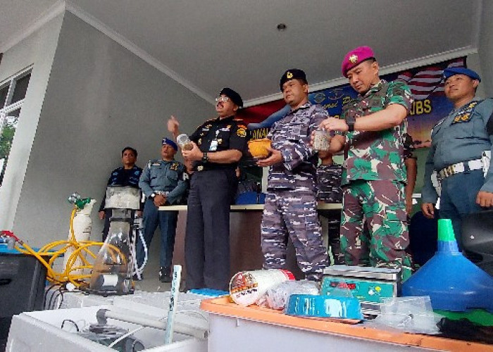 Hasil Pengembangan, Lanal Lampung dan Brigif 4 Marinir/BS Bongkar Gudang Baby Lobster di Bandar Lampung