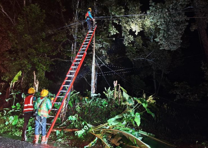 PLN Imbau Warga Lampung Tetap Waspada Bahaya Kelistrikan di Tengah Cuaca Ekstrem