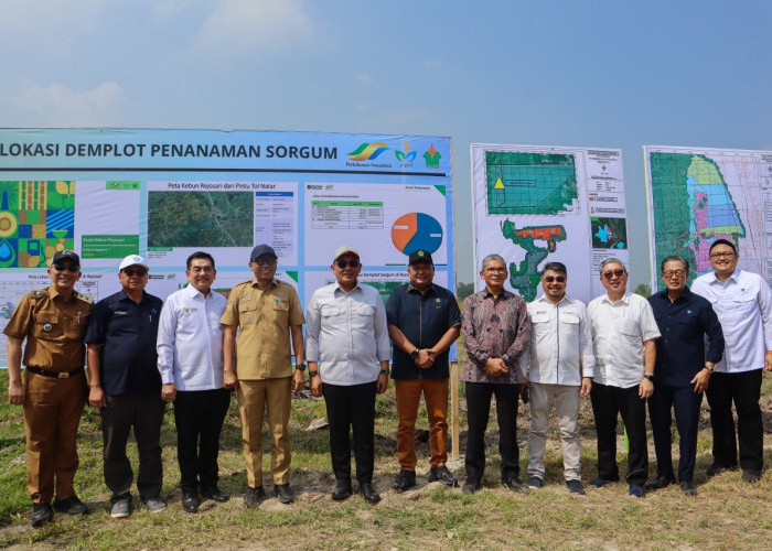 Lampung Disiapkan Jadi Pusat Bioetanol Nasional, Pabrik Berbasis Sorgum Segera Dibangun
