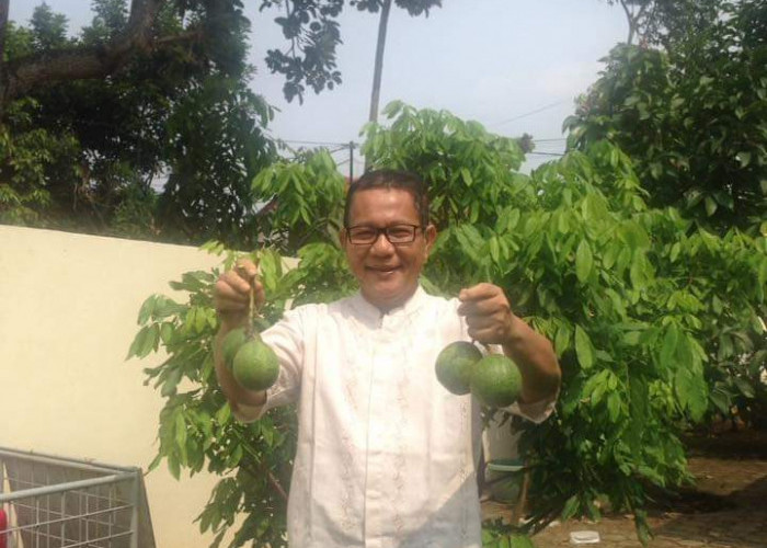 Tragedi Wira Garden, Akademisi Unila Kritik Lemahnya Keselamatan Wisata Alam