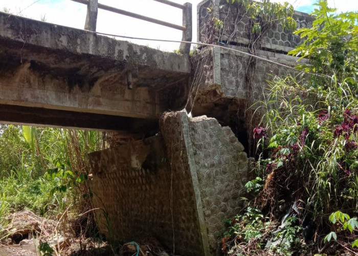 Pemkab Lambar Diminta Segera Tangani Kerusakan Jembatan Penghubung Tapaksiring-Bumijaya