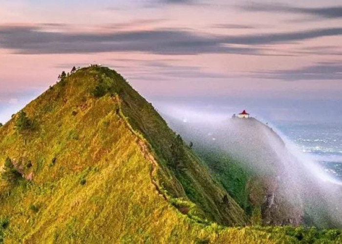 Menjelajah Gunung Andong Jawa Tengah, Pendakian Singkat dengan View Spektakuler