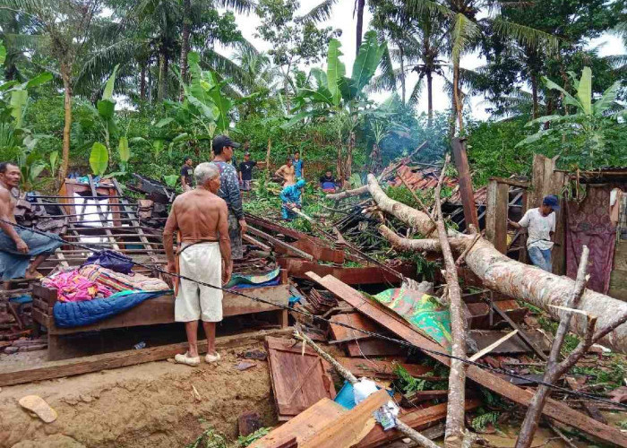 Satu Rumah Warga di Pemerihan Hancur Tertimpa Pohon Tumbang