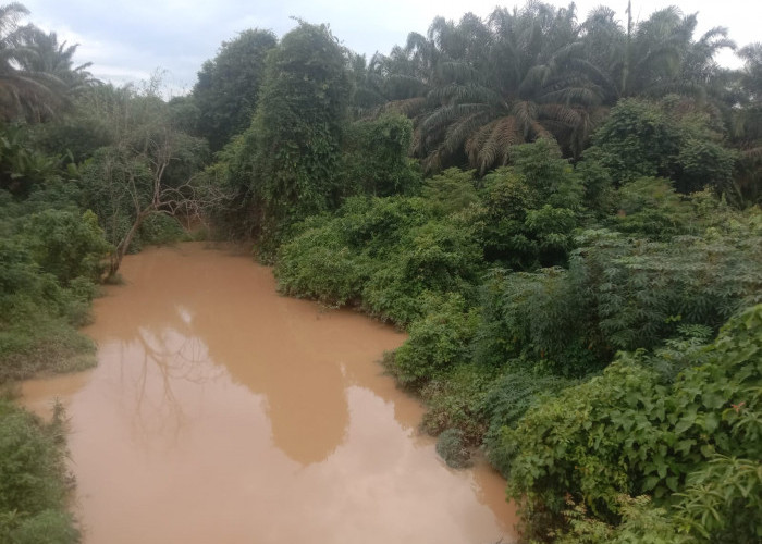 Diduga Cemari Sungai, Aktivitas PT Kencana Acidindo Perkasa Diprotes Warga