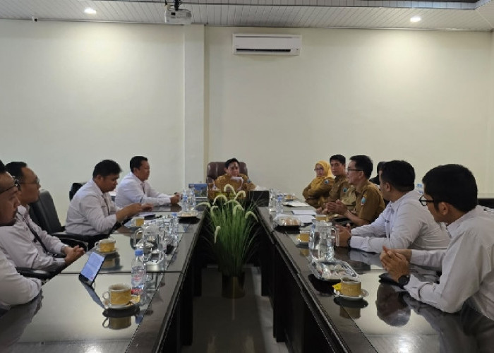 Listrik Pulau Sebuku Didorong Lebih Andal, Lahan PLTS Mulai Disiapkan 