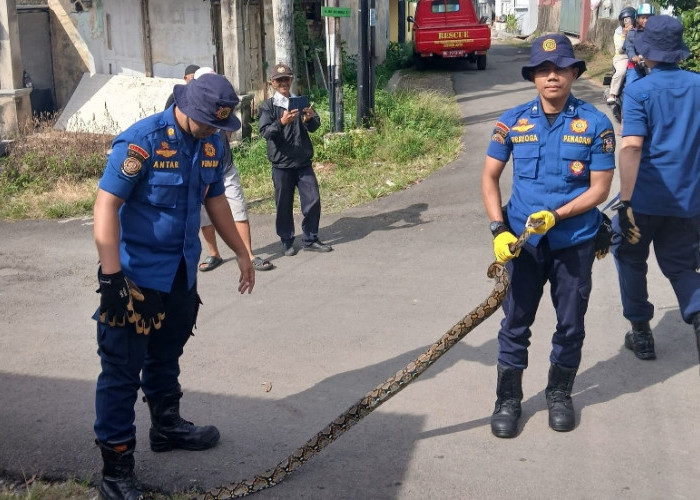 Aksi Penyelamatan di Libur Lebaran, Damkarmat Bandar Lampung Tangani Beragam Insiden Non-Kebakaran
