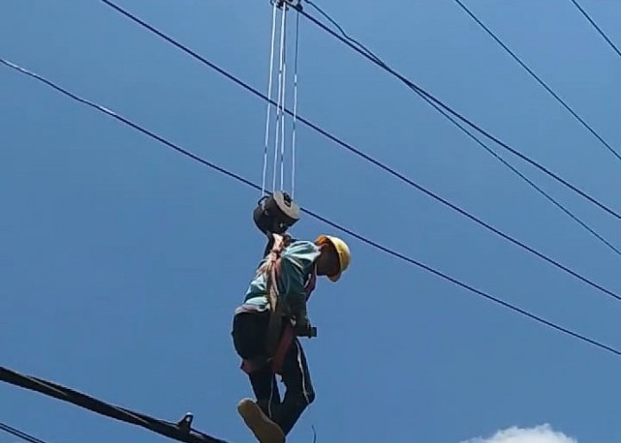 PLN Lakukan Pemeliharaan Jaringan Wilayah Pagar Dewa dan Kebun Tebu 