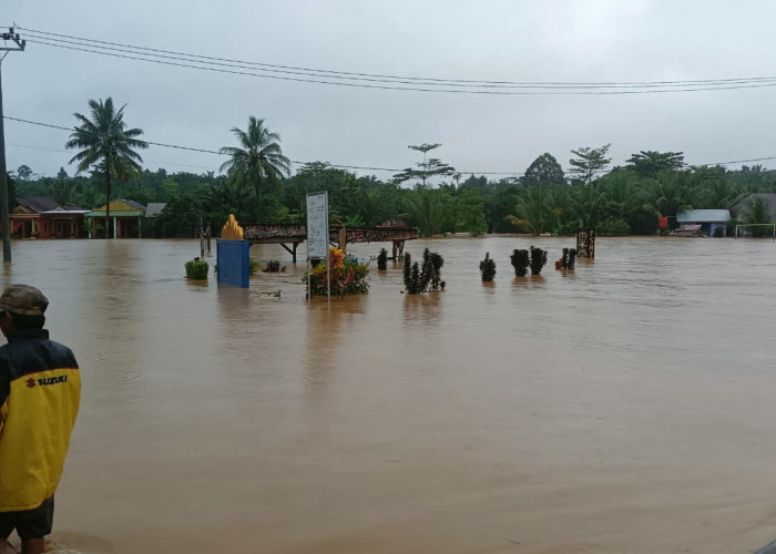 Selain Kecamatan Ngaras, Pekon Sukabanjar Juga Dilanda Banjir