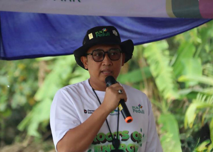 33.000 Mangrove Ditanam, PLN UID Lampung Tegaskan Komitmen Lingkungan Berkelanjutan