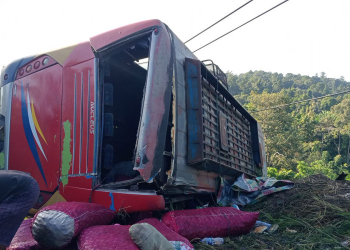 Lakalantas Tunggal, Bus Sriwijaya Terbalik di Tanjakan Jabung