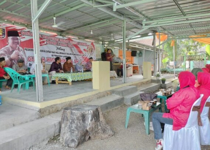 DPRD Lampung Sebut Perempuan Jadi Peredam Konflik