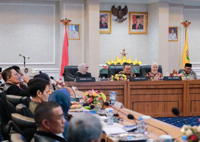 Wagub Jihan Apresiasi Kolaborasi Strategis dengan BULD DPD RI untuk Penguatan Regulasi Daerah