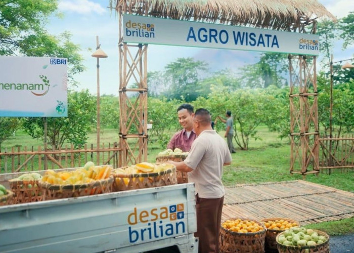 BRI Dorong Desa Wisata Jadi Destinasi Unggulan Lewat Program Desa BRILiaN