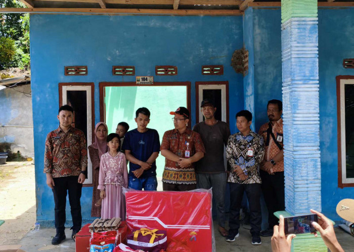 BPBD Pesbar Tinjau Rumah Tertimpa Pohon, Korban Terima Bantuan