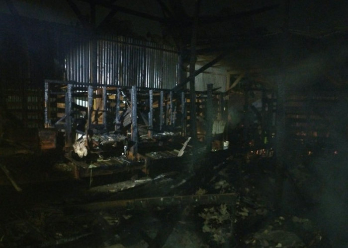Diduga Korsleting Listrik, Gudang Pakan Ternak di Way Laga Terbakar Dini Hari