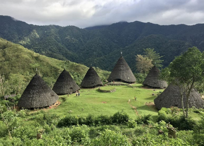 Wae Rebo, Permata Budaya di Atas Awan Flores