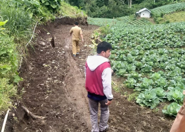 20 Persen Anggaran Ketahanan Pangan Untuk Buka-Bangun Jalan Pertanian 