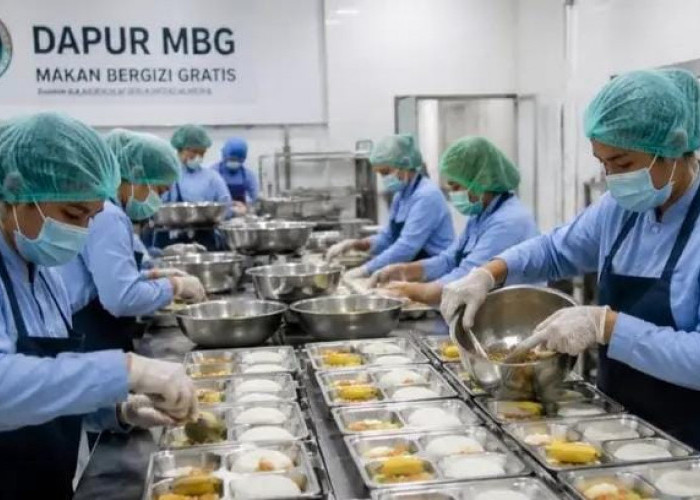 Empat Dapur MBG di Lampung Ditutup Permanen, Seluruhnya Berada di Lampung Timur