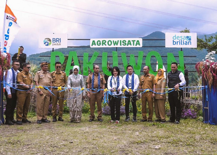 Desa Pajambon Bersinar Lewat Program Desa BRILiaN, Transformasi Ekonomi Berbasis Potensi Lokal