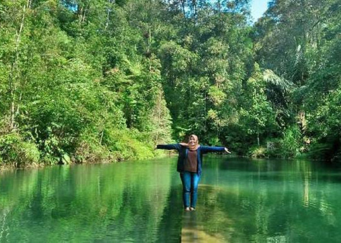 Danau Banaran di Kendal, Wisata Alam Asri dengan Panorama Gunung Prau