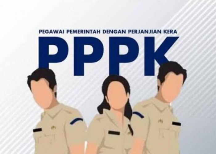 Hingga 4 Oktober 2024, 1.638 Peserta Daftar Seleksi PPPK Lampung Selatan, Baru 60 Pendaftar Submit di SSCASN