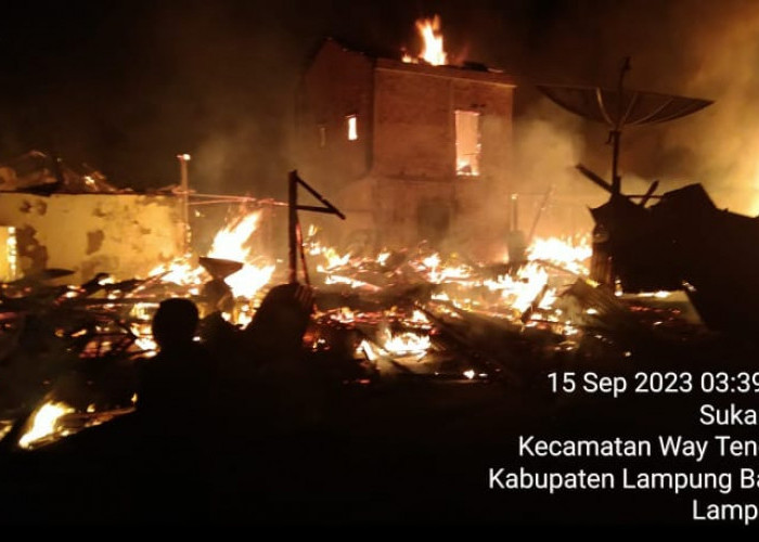 8 Rumah Hangus Terbakar di Pemukiman Padat Penduduk Pasar Kemis Way Tenong