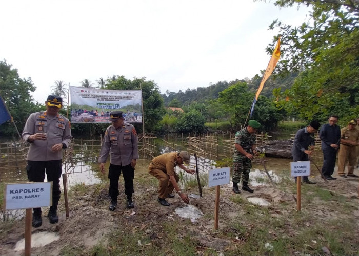 Kodim 0422/LB Laksanakan Tanam Mangrove Serentak