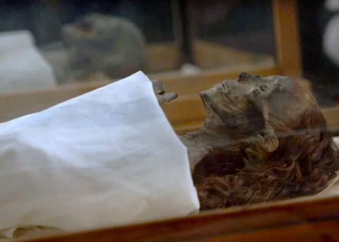 Mumi dalam Peradaban Mesir Kuno: Keyakinan, Proses, dan Makna Budaya