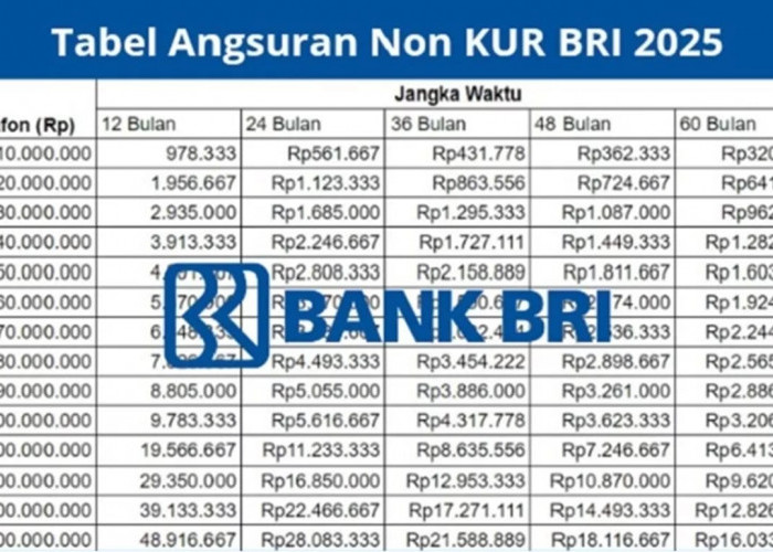 KUR BRI 2025, Peluang Modal Usaha Rp275 Juta dengan Cicilan Terjangkau