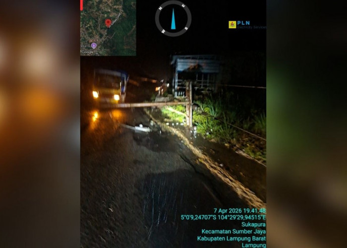 Tiang Listrik PLN Roboh di Sumber Jaya, Lampung Barat: Pemadaman Total Sempat Terjadi