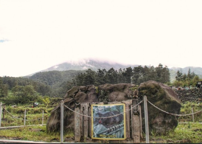 Mitos Batu Gajah di Tapanuli Tengah: Warisan Budaya Sarat Nilai Kehidupan