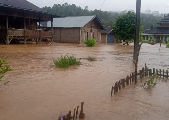 Puluhan Rumah di BNS Lampung Barat Terendam Banjir, Dua Lainnya Rusak Terkena Material Longsor 