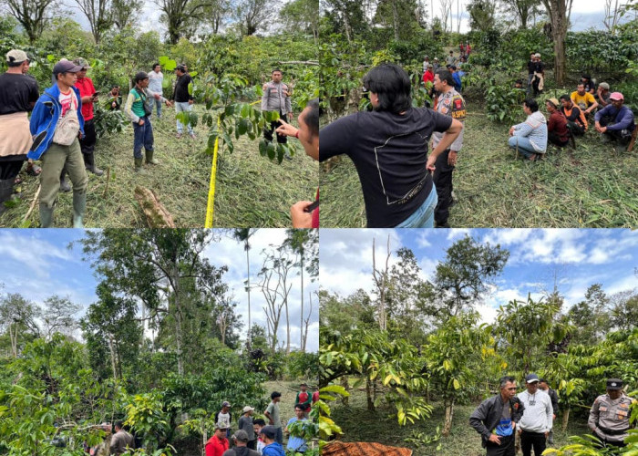 Tragedi di Pekon Jagaraga, Pelaku Habisi Nyawa Korban Secara Brutal