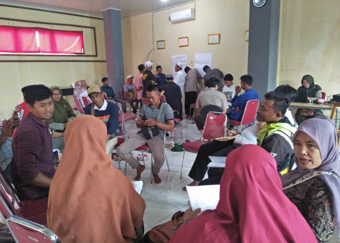 BSIP Lampung dan Disbunnak Lampung Barat Gelar FGD Intercropping Berbasis Kopi 