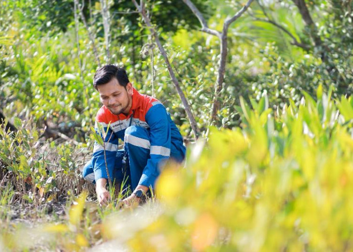 Hutan Lestari Pertamina: Dari Bali hingga Lampung, Alam Pulih dan Ekonomi Bangkit
