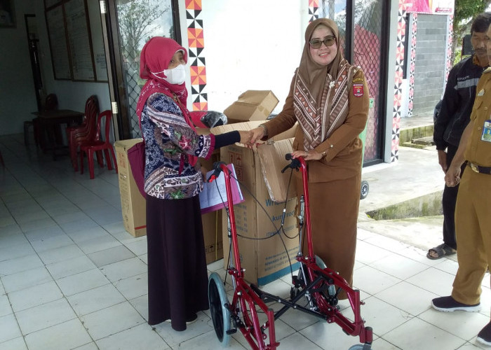 Camat Batuketulis Salurkan Bantuan Kursi Roda ke Lima Warga Lansia 