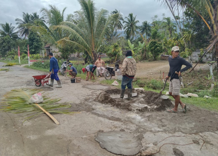 Kerap Memakan Korban, Masyarakat Pekon Tanjung Sari Swadaya Tambal Jalan Berlubang